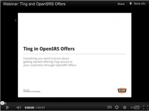 showing the Ting webinar