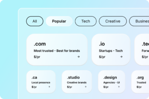 Different TLDs listed in various pill sizes