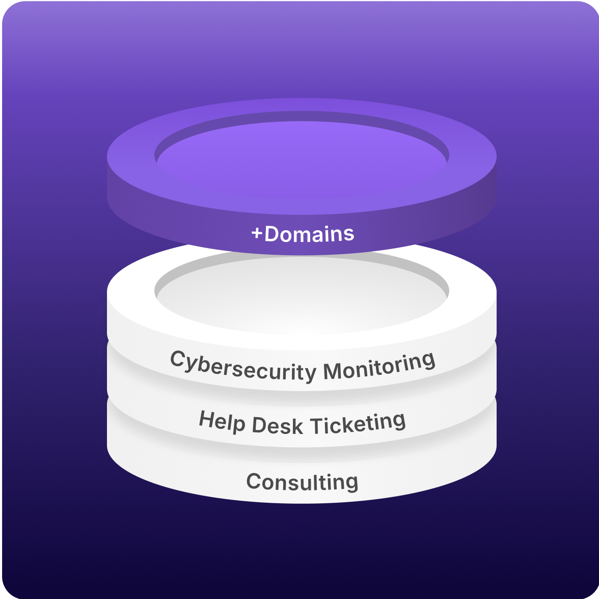 domains, cybersecurity monitoring, help desk ticketing, consulting